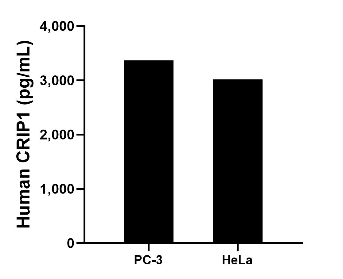 Sample test of MP00382-3